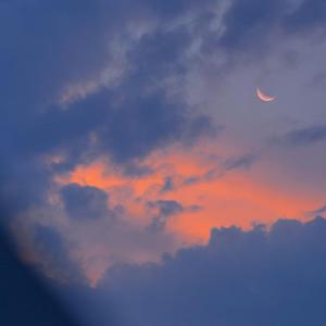 曰本黄色视频专辑
