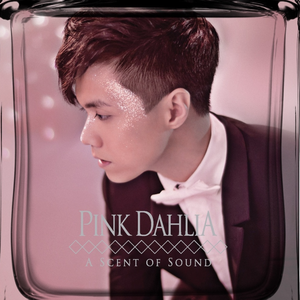 曰本黄色视频专辑
