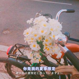 曰本黄色视频专辑
