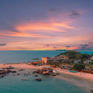 曰本黄色视频专辑
